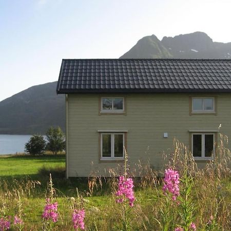 Charming House By The Sea, Lofoten! Laupstad Buitenkant foto