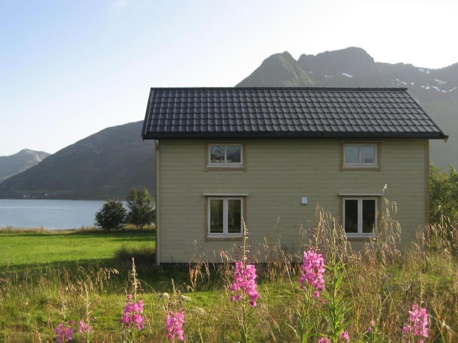 Charming House By The Sea, Lofoten! Laupstad Buitenkant foto