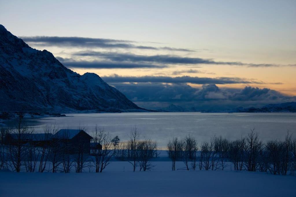 Charming House By The Sea, Lofoten! Laupstad Buitenkant foto