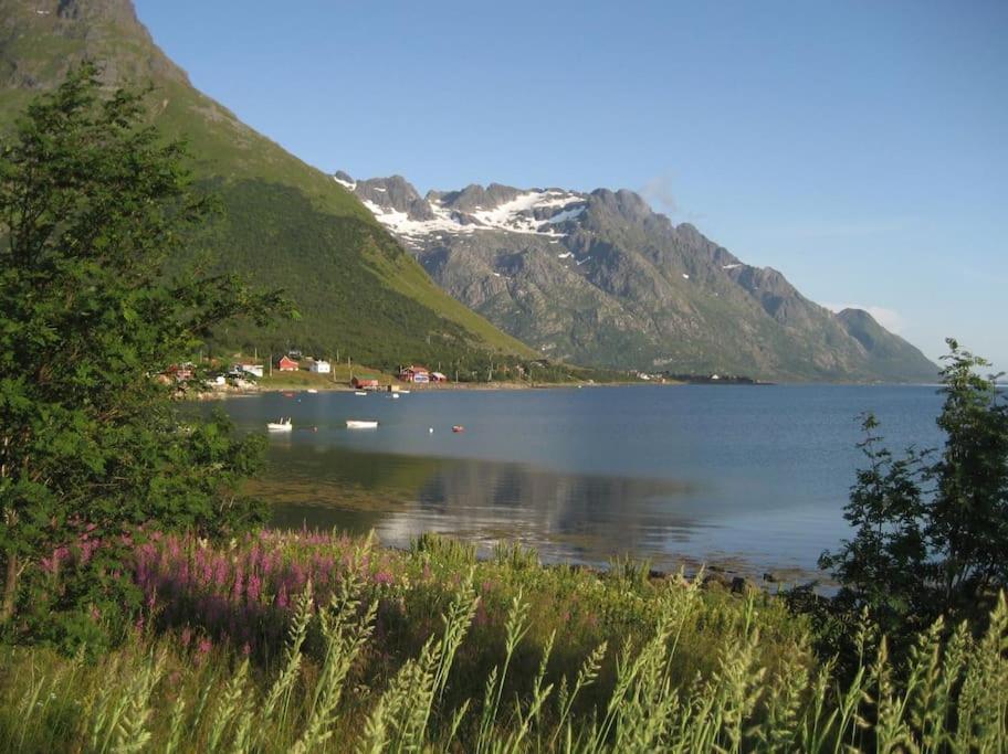 Charming House By The Sea, Lofoten! Laupstad Buitenkant foto